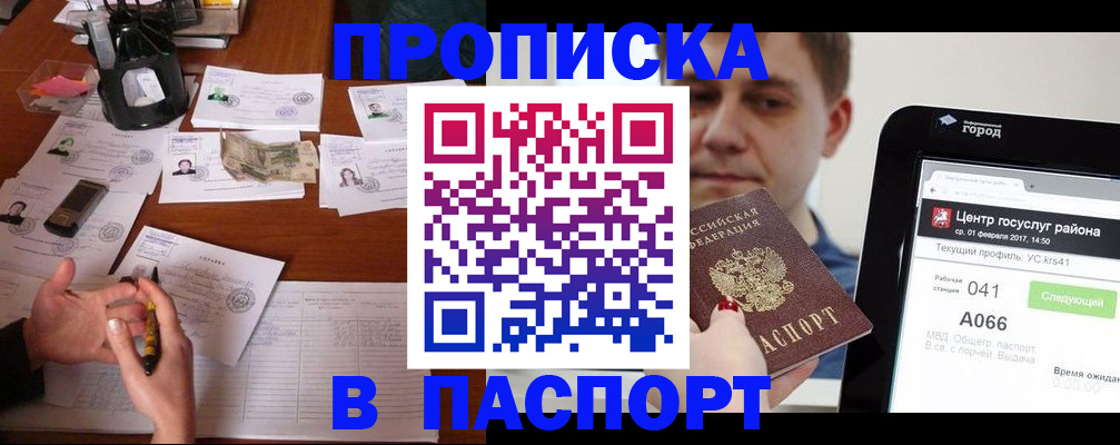 временная регистрация недорого в Павловске